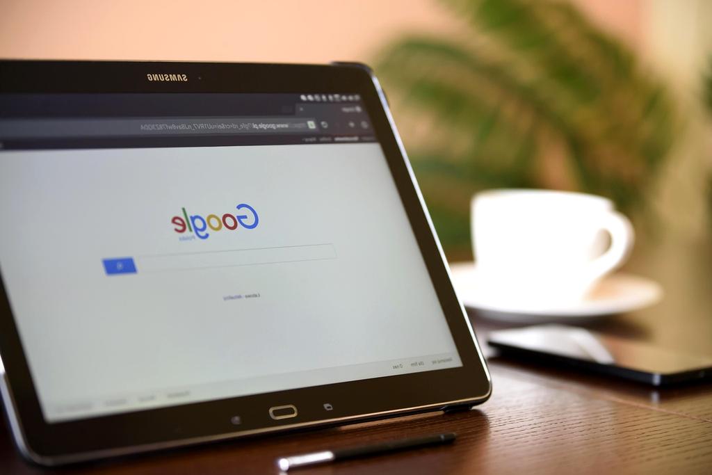 Browser security and privacy protection